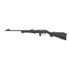 carabine 8117 17hmr